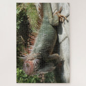Grote Zuid-Amerikaanse hagedis Iguana Foto gemaakt Legpuzzel (Verticaal)