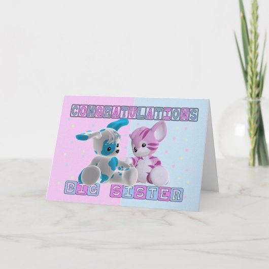 Grote zus gefeliciteerd kaart (Voorkant)