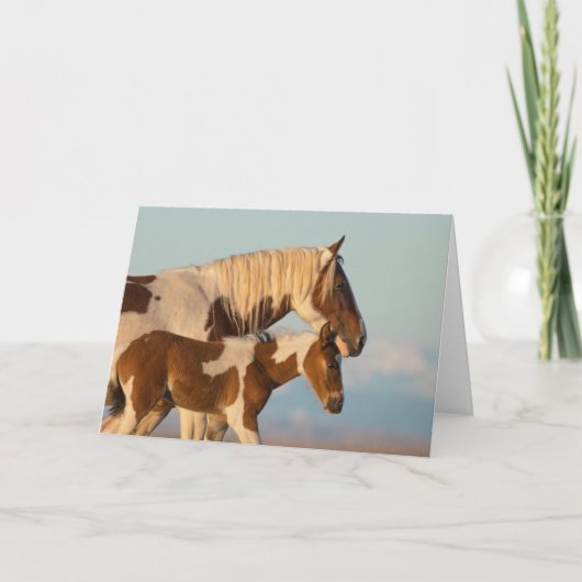 "Grote Zus" Kaart (Voorkant)