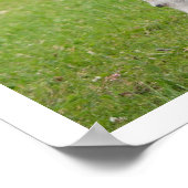 Grote zwarte en witte deen poster (Hoek)