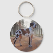 Grote zwarte en witte deen sleutelhanger (Voorkant)