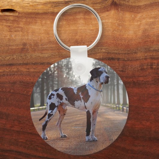 Grote zwarte en witte deen sleutelhanger (Voorkant)