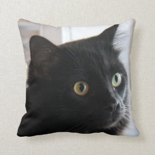 Grote zwarte kat Pillow, home of dorm Kussen