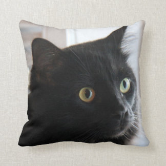Grote zwarte kat Pillow, home of dorm Kussen