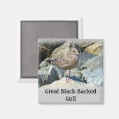 Grote zwarte meeuw magneet (Voorkant / Achterkant)