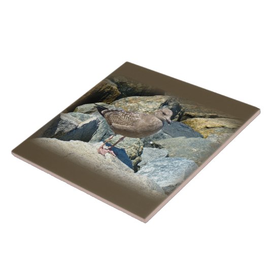 Grote zwarte meeuw tegeltje (Zijkant)