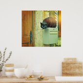 Grote zwarte straatkat sprong op huis postbus poster (Keuken)