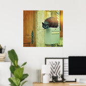 Grote zwarte straatkat sprong op huis postbus poster (Thuiskantoor)