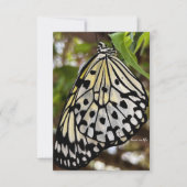 Grote zwarte & witte vlinder notitiekaartje (Voorkant)