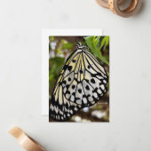 Grote zwarte & witte vlinder notitiekaartje (Voorkant / Achterkant in situ)
