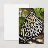 Grote zwarte & witte vlinder notitiekaartje (Voorkant / Achterkant)