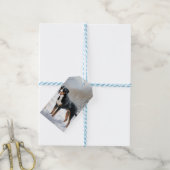 Grote Zwitserse Berg Laat het Sneeuwen Kerstmis Cadeaulabel (Met Touw)