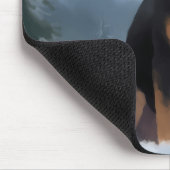 Grote Zwitserse Berghond in Sneeuw Kerstmis Muismat (Hoek)