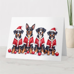 Grote Zwitserse Berghond Kerstjurk Sinterklaas Kaart