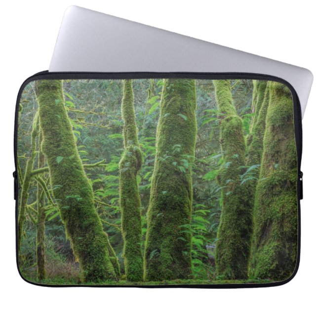 Grotebladige esdoorn en varens | Staat Washington Laptop Sleeve (Voorkant)