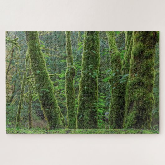 Grotebladige esdoornbomen & varens | Staat Washing Legpuzzel (Horizontaal)