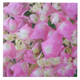 Grotebladige Hortensia Tegeltje