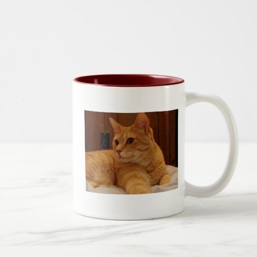 Groter 1 tweekleurige koffiemok (Rechts)