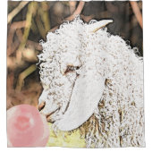 Groter dan Baby Angora Goat met Bubblegum Douchegordijn (Voorkant)