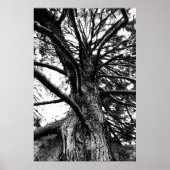 Groter dan je denkt poster (Voorkant)