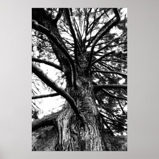 Groter dan je denkt poster (Voorkant)