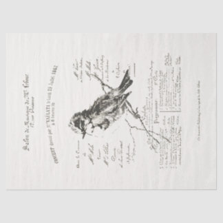 Groter Frans Muzieksalon Vogelschrift Tissue Paper Tissuepapier