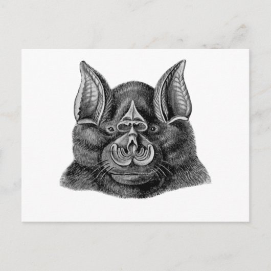 Groter Hoefijzer Briefkaart (Voorkant)