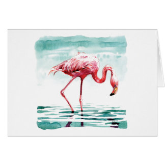Grotere flamingo