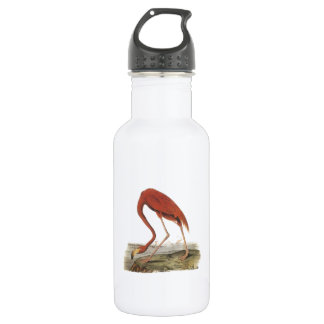 Grotere Flamingo door Audubon Waterfles