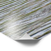 Grotere Flamingo Fotografische Print Foto Afdruk (Hoek)