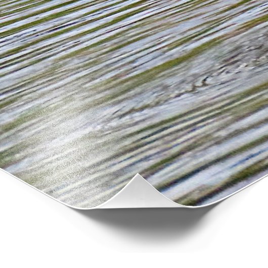 Grotere Flamingo Fotografische Print Foto Afdruk (Hoek)