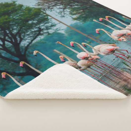 Grotere flamingo-kudde in natuurlijke habitat. A n Sherpa Deken (3/4)