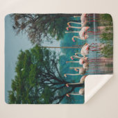 Grotere flamingo-kudde in natuurlijke habitat. A n Sherpa Deken (Voorkant (horizontaal))