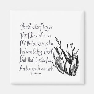 Grotere Gevaarmagneet Magneet