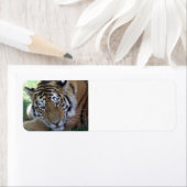 GROTERE IN HET GRONDGEBIED GEBRACHTE DIEREN ETIKET (Insitu)