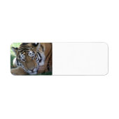 GROTERE IN HET GRONDGEBIED GEBRACHTE DIEREN ETIKET (Voorkant)