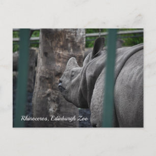 Grotere Rhinoceros met één hoorn in de dierentuin Briefkaart