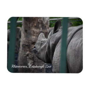 Grotere Rhinoceros met één hoorn in de dierentuin  Magneet