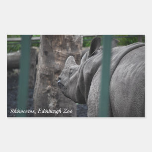 Grotere Rhinoceros met één hoorn in de dierentuin Rechthoekige Sticker
