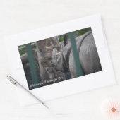 Grotere Rhinoceros met één hoorn in de dierentuin  Rechthoekige Sticker (Envelop)