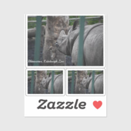 Grotere Rhinoceros met één hoorn in de dierentuin  Sticker