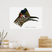 Grotere roadrunner, Geococcyx californianus Poster (Keuken)
