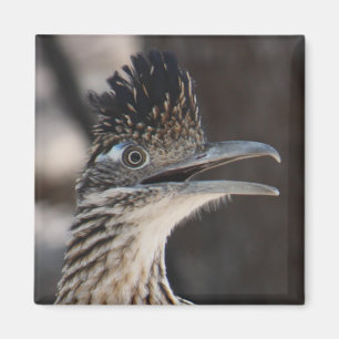 Grotere Roadrunner Magnet