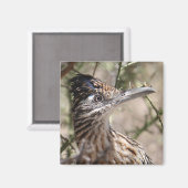 Grotere Roadrunner Magnet (Voorkant / Achterkant)