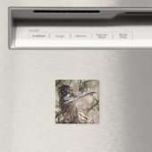 Grotere Roadrunner Magnet (Insitu (Vaatwasser))
