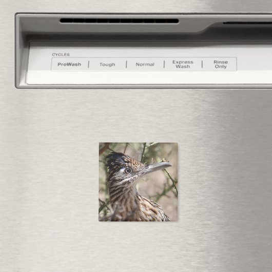 Grotere Roadrunner Magnet (Insitu (Vaatwasser))