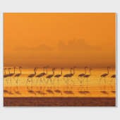 Grotere vliegers (Phoenicopterus roseus) lopen Cadeaupapier (Vlak)