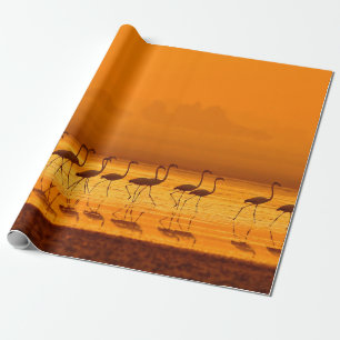 Grotere vliegers (Phoenicopterus roseus) lopen Cadeaupapier
