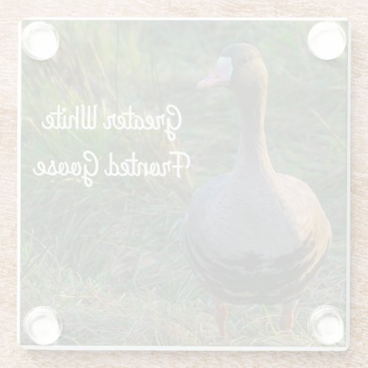 Grotere witte gans glazen onderzetter (Achterkant)