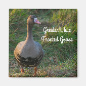 Grotere witte gans magneet (Voorkant)